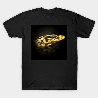 Monitor lizard T-Shirt